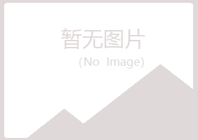 镇康县夏岚金融有限公司